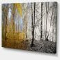 Morning Forest Panorama Canvas Art Print