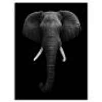 African Elephant  Wall Art