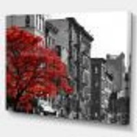 Red Tree on Black and White New York City Street  Canvas