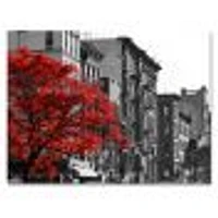 Red Tree on Black and White New York City Street  Canvas