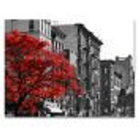 Red Tree on Black and White New York City Street  Canvas