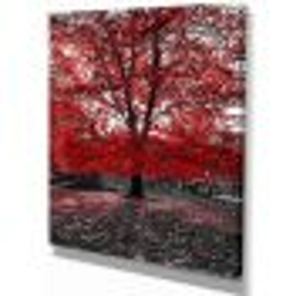 Red Tree Central Park  Wall Art