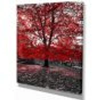 Red Tree Central Park  Wall Art