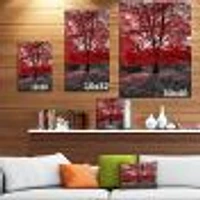 Red Tree Central Park  Wall Art