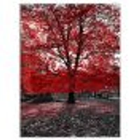 Red Tree Central Park  Wall Art