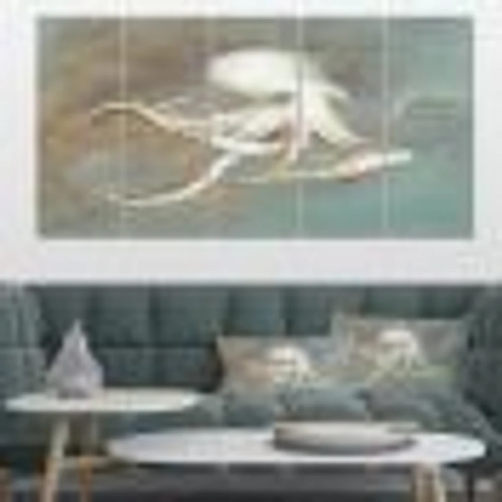 Octopus Treasures from the Sea Canvas Wall Art