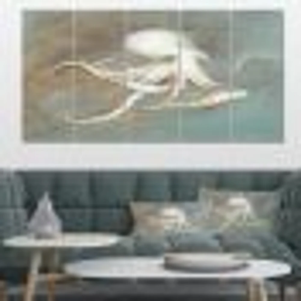 Octopus Treasures from the Sea Canvas Wall Art