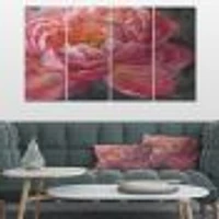 Vivid Pink Peonies I Canvas Wall Art