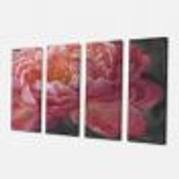 Vivid Pink Peonies I Canvas Wall Art