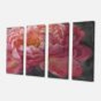 Vivid Pink Peonies I Canvas Wall Art