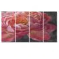 Vivid Pink Peonies I Canvas Wall Art