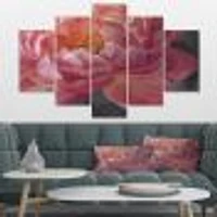 Vivid Pink Peonies I Canvas Wall Art