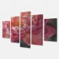 Vivid Pink Peonies I Canvas Wall Art