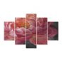 Vivid Pink Peonies I Canvas Wall Art