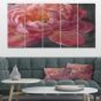 Vivid Pink Peonies I Canvas Wall Art