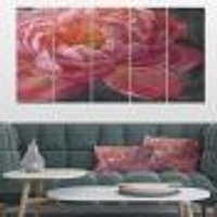 Vivid Pink Peonies I Canvas Wall Art