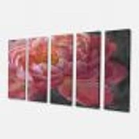 Vivid Pink Peonies I Canvas Wall Art