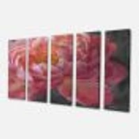 Vivid Pink Peonies I Canvas Wall Art