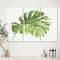 Mixed Botanical Green Leaves V  Canvas Art