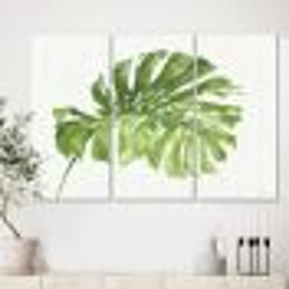 Mixed Botanical Green Leaves V  Canvas Art