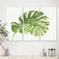 Mixed Botanical Green Leaves V  Canvas Art