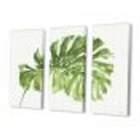 Mixed Botanical Green Leaves V  Canvas Art