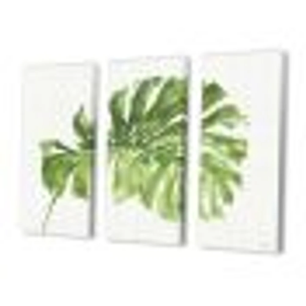 Mixed Botanical Green Leaves V  Canvas Art