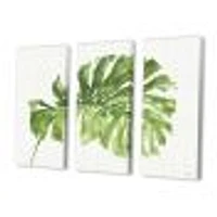 Mixed Botanical Green Leaves V  Canvas Art