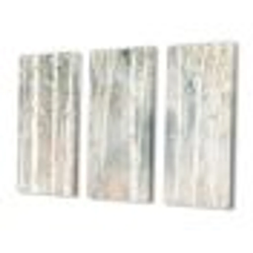 A Woodland Walk into the Forest III Canvas Wall Art