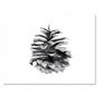Conifer Cone Monochrome Wall Art