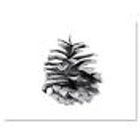 Conifer Cone Monochrome Wall Art