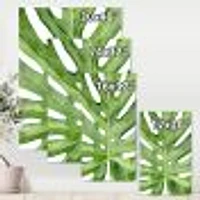 Green Monstera Leaf Tropical Palm Botanical Detail  Wall Art