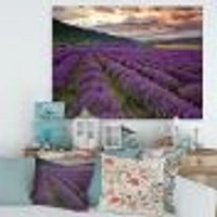 Lavender Field At Dawn I  Wall Art