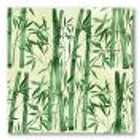 Bamboo Branches The Forest I  Wall Art