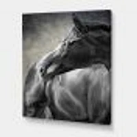 Portrait of A Black Horse  Canvas Wall Art Print