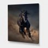 Portrait of Thoroughbred Nonius Stallion Horse I  Wall Art