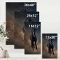 Portrait of Thoroughbred Nonius Stallion Horse I  Wall Art