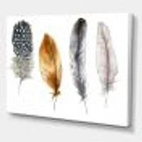 Boho Feather Orange & Blue Striped Polka Dots  Canvas Wall Art Print