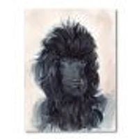 Portrait of The Black Poodle Puppy with Curly Coat  Canvas Wall Art Print