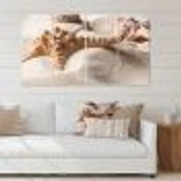 Close Up of Starfish and Seashell on Light Sand Canvas Wall Art Print Panels