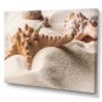 Close Up of Starfish and Seashell on Light Sand Canvas Wall Art Print