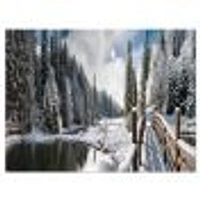 Winter Morning Panorama  Wall Art