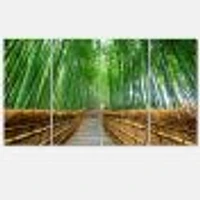 Path to Bamboo Forest  Canvas Wall Art