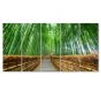 Path to Bamboo Forest  Canvas Wall Art