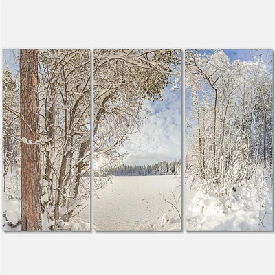 Lake in Winter Woods - 3 Canvas Wall Art