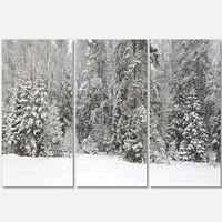 Foggy Winter Forest Panorama Canvas Wall Art