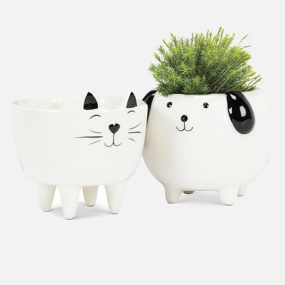 Ceramic Cat Planter