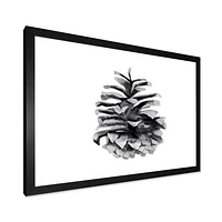 Conifer Cone Monochrome Wall Art