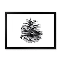 Conifer Cone Monochrome Wall Art