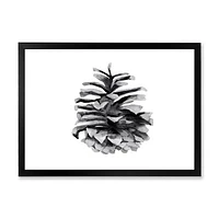 Conifer Cone Monochrome Wall Art